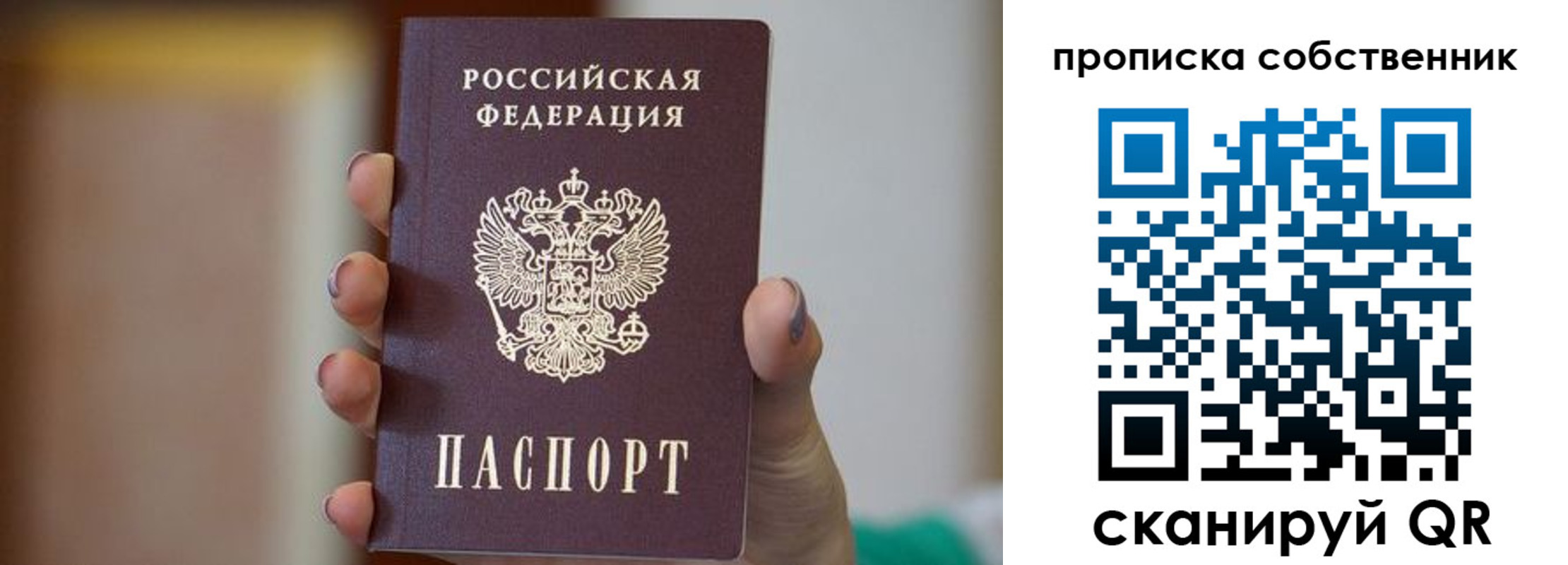 прописка поиск в Химках